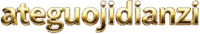 ateguojidianzi.com